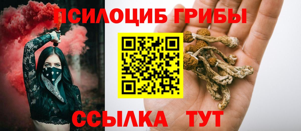 Галлюциногенные грибы мухоморы Новотроицк