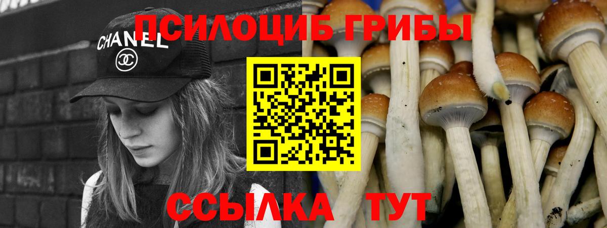 Новотроицк  Галлюциногенные грибы Psilocybine cubensis  Вход с VPN 